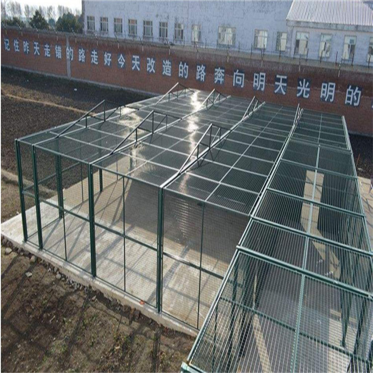 監獄梅花刺隔離網圖片1 監獄梅花刺隔離網圖片1