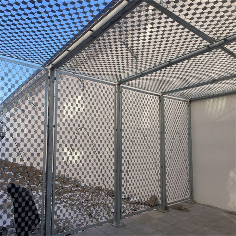 山東監獄梅花刺隔離鋼網墻圖片4