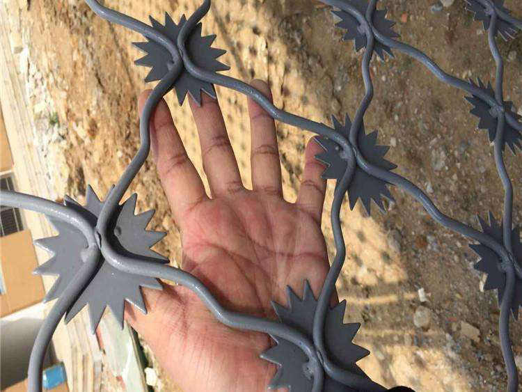 鋼網墻看守所 鋼網墻看守所