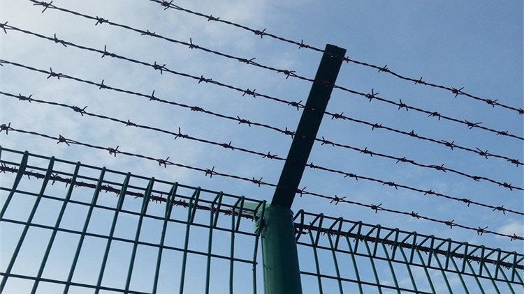 果園農(nóng)田圈地護(hù)欄網(wǎng)18631858321 果園農(nóng)田圈地護(hù)欄網(wǎng)18631858321