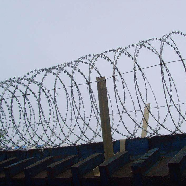 拉薩拉伸直線型刀片刺網(wǎng)已經(jīng)驗收成功圖片3 拉薩拉伸直線型刀片刺網(wǎng)已經(jīng)驗收成功圖片3