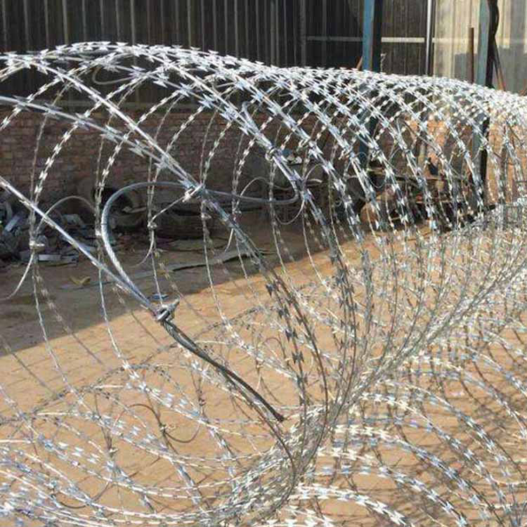 拉薩拉伸直線型刀片刺網(wǎng)已經(jīng)驗收成功圖片4 拉薩拉伸直線型刀片刺網(wǎng)已經(jīng)驗收成功圖片4