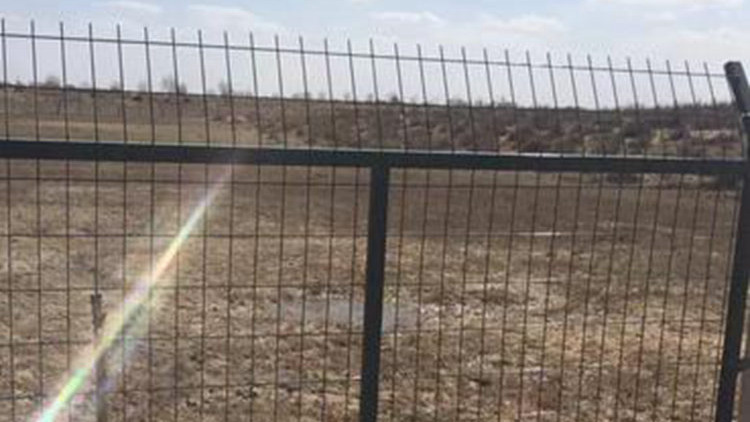 浸塑鐵路護欄網18631858321 浸塑鐵路護欄網18631858321