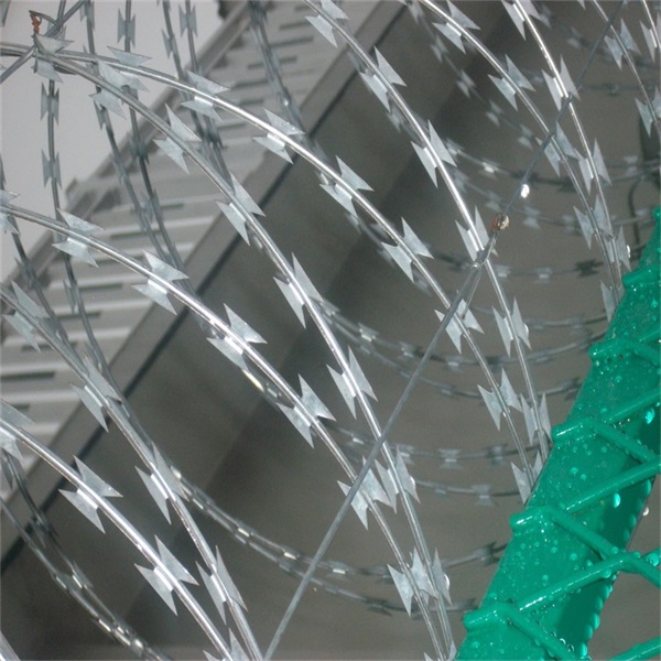 監獄看守所蛇腹式刀刺網圖片2 監獄看守所蛇腹式刀刺網圖片2