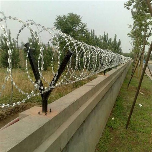 監獄看守所蛇腹式刀刺網圖片4 監獄看守所蛇腹式刀刺網圖片4