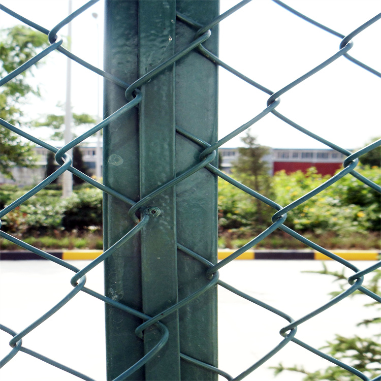 扁鋼式勾花圍網(wǎng)?圖片2 扁鋼式勾花圍網(wǎng)?圖片2