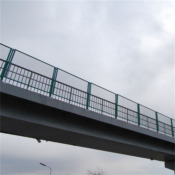 天橋防拋網圖片4 天橋防拋網圖片4