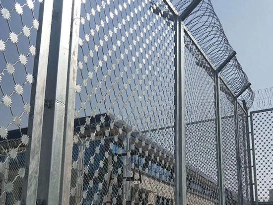梅花刺鋼網墻圖片1